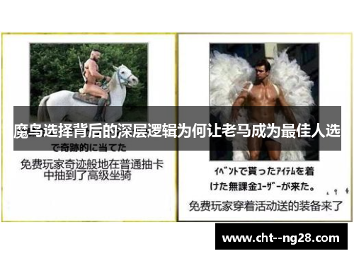 魔鸟选择背后的深层逻辑为何让老马成为最佳人选