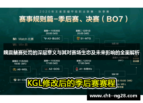 魏震禁赛处罚的深层意义与其对赛场生态及未来影响的全面解析